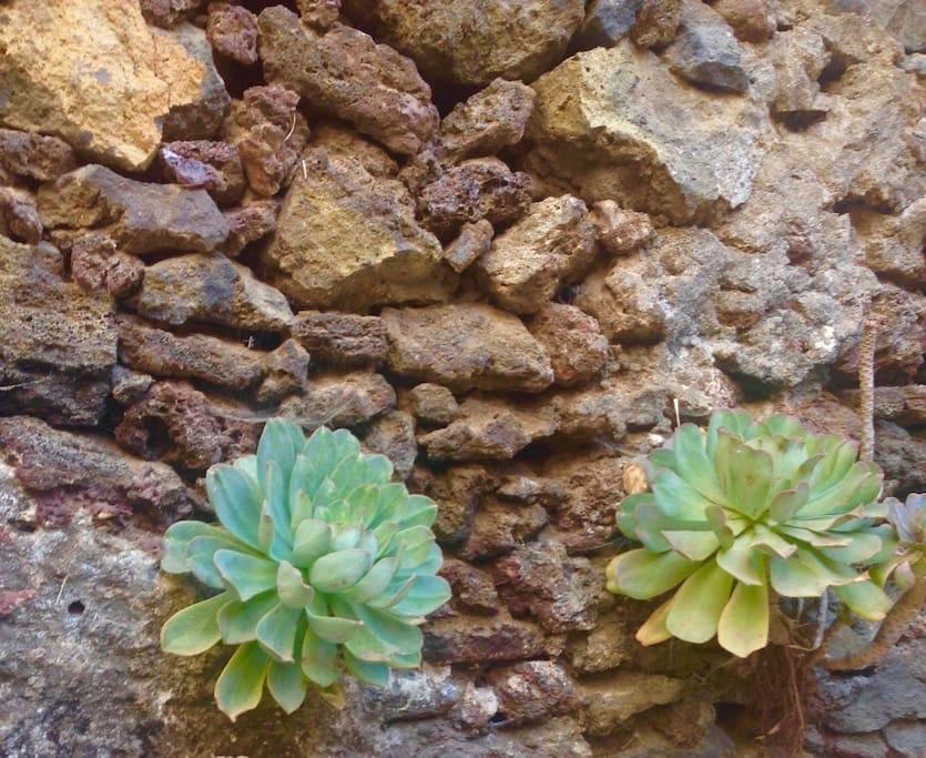 El Pinar Casa Poesia De El Hierro, Situada En El Centro De El Pinar别墅 外观 照片