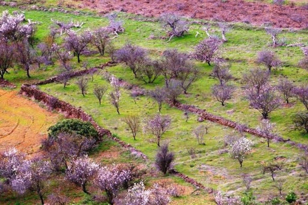 El Pinar Casa Poesia De El Hierro, Situada En El Centro De El Pinar别墅 外观 照片