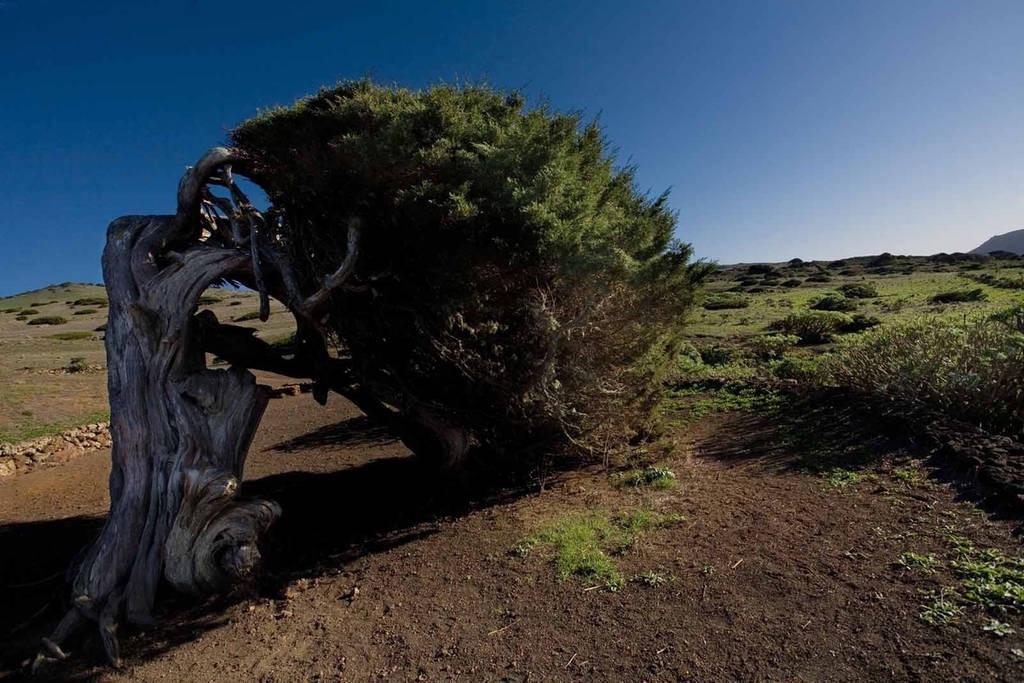 El Pinar Casa Poesia De El Hierro, Situada En El Centro De El Pinar别墅 外观 照片